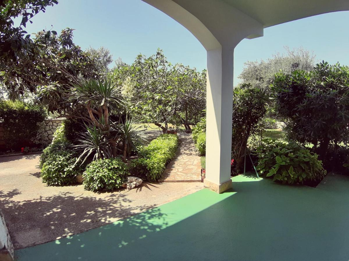 F• R• I• E• N• D• S• Bed & Breakfast Novalja Exterior photo